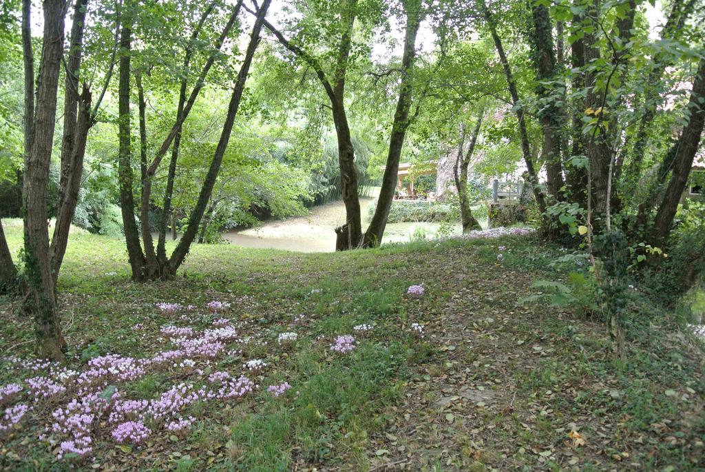 Moulin De Repassat Etape Voie Verte Bazens ภายนอก รูปภาพ